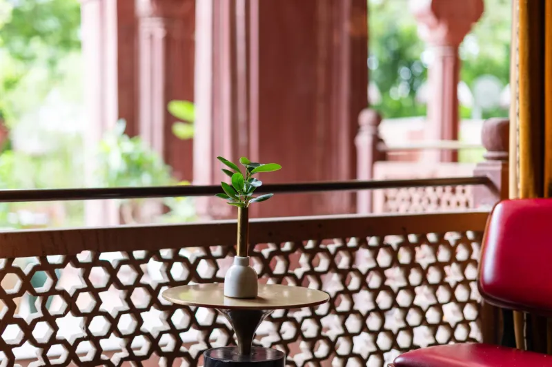 Invisible Touches, Unforgettable Outcomes: The Detail-Oriented Philosophy of Chandigarh's Elite Companions